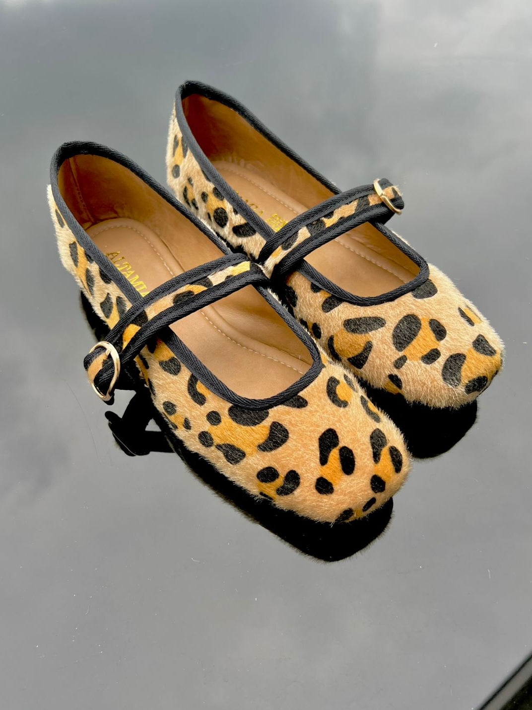 zapatilla piso pardo